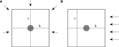 A phantom for 2D dose measurements in the vicinity of metal implants for photon and proton beams